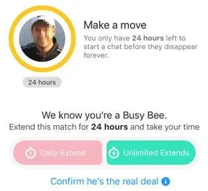 Bumble verification request example