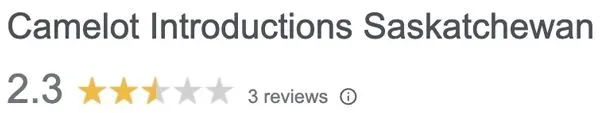 2.3 star rating for Camelot Introductions on Google