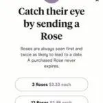 Hinge Rose