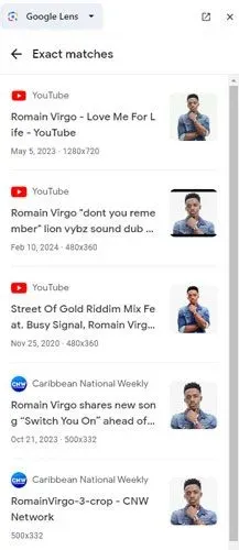 Google Lens reverse image search results