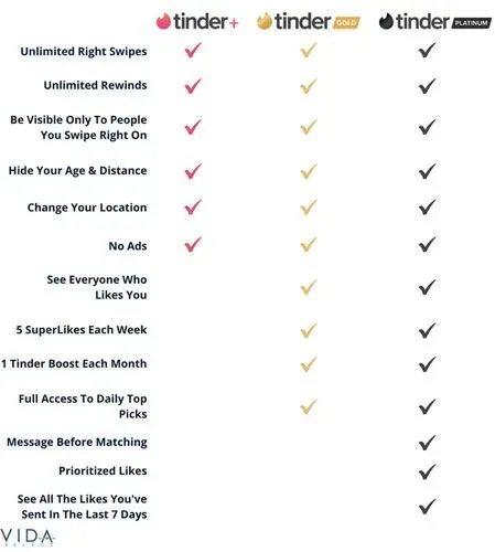 Tinder premium features & levels