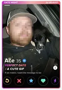 Tinder Vibe profile example