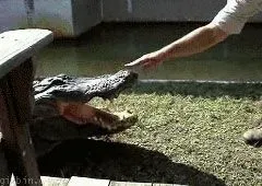 Tinder Loops video tip