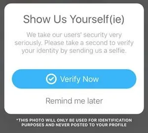 Show us Yourself(ie)