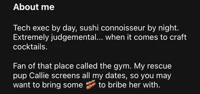 Good Hily profile example