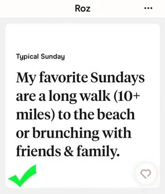 good Hinge prompt answer example
