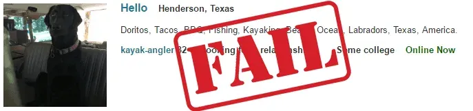 boring online dating headline example