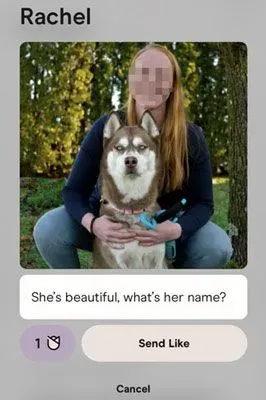 Example of a man commenting on a woman's Hinge profile