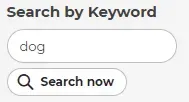 keyword search