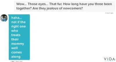 Good opening line for a match with dogs