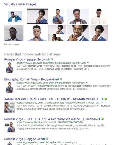 reverse image search results