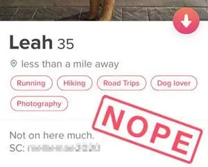 Snap Chat handle in profile