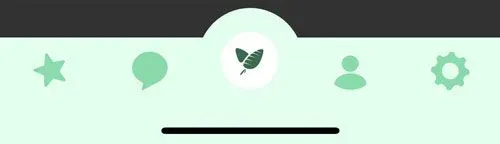 Veggly SuperLike Star icon