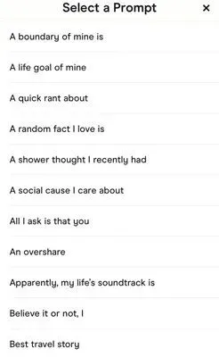 Hinge Voice Prompt choices
